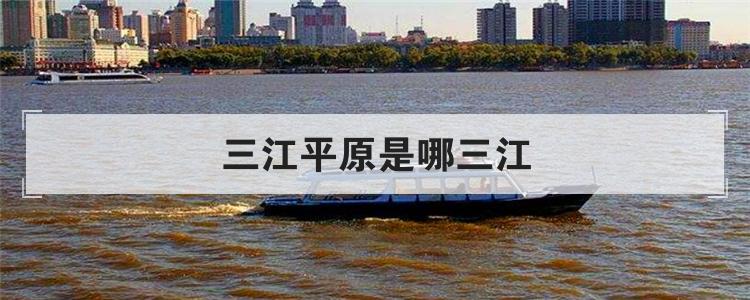 三江平原是哪三江