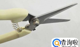 怎么选购园艺剪刀中的修枝剪？