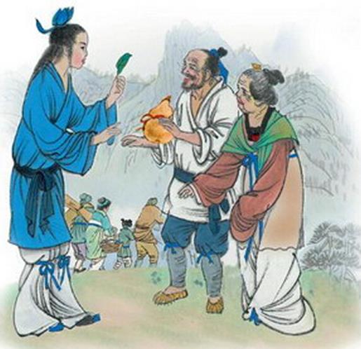 茱萸是什么植物