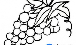 简笔画基础训练有哪些