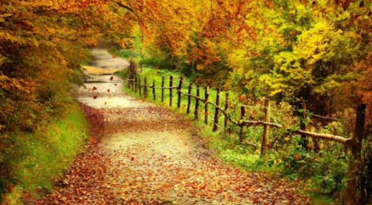 为什么立秋了还那么热