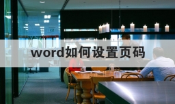 word如何设置页码