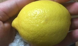 新鲜柠檬怎么泡水喝