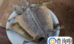 想要尽快怀上宝宝可以多吃哪些食物？