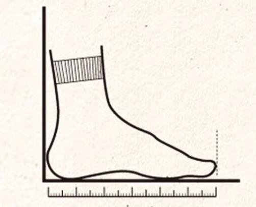 英尺为什么写作foot脚