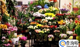 过年做什么生意才赚钱