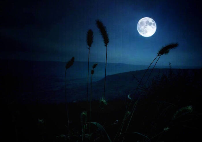 月是故乡明上一句是什么