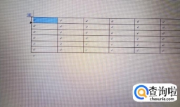 word中的表格怎么调整单个单元格的大小