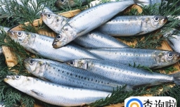 长白发是缺少什么元素应该多吃什么