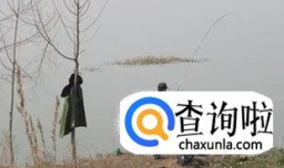 冬季有风天气钓鱼技巧