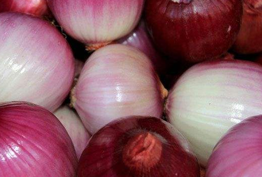 洋葱需要放冰箱吗