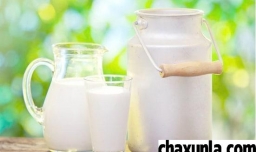 生活中牛奶有哪些妙用