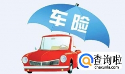 怎么买车险划算？