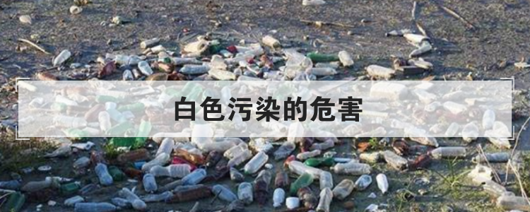 白色污染的危害
