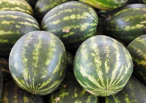 西瓜的品种有哪些