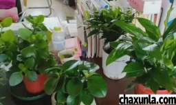 怎么给女班主任送礼物