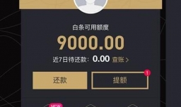 京东白条额度是怎么分配的