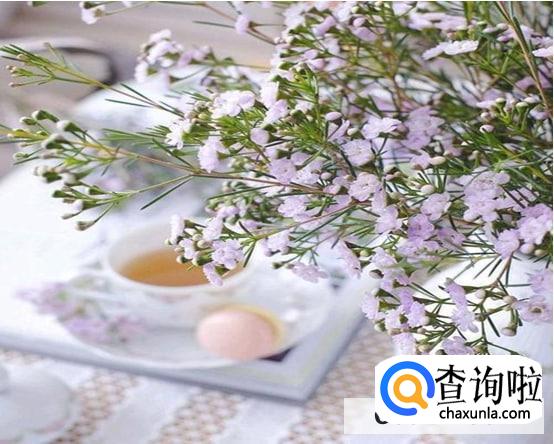 如何去安慰心情不好的朋友