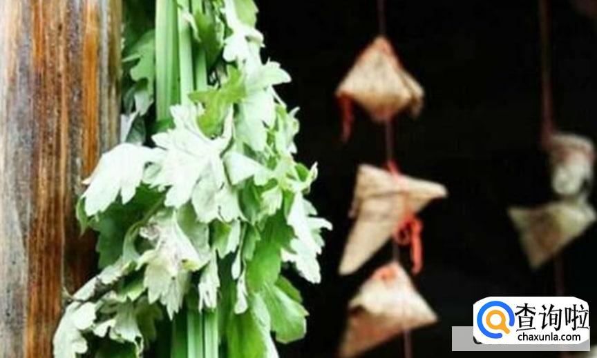 端午节几点钟挂艾草好