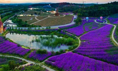 金陵是现在的哪里