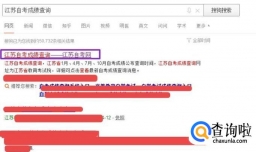 如何查询自考成绩