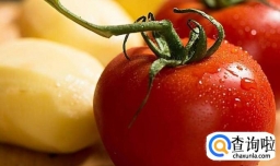 瘦身蔬菜汤的做法