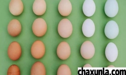 强迫症能治好吗