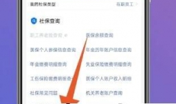 养老保险怎么查