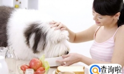 宠物和自己不亲是什么原因？