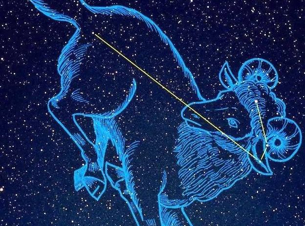 射手座和什么座最配