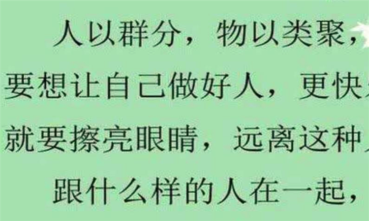 物以类聚什么意思