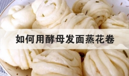 如何用酵母发面蒸花卷