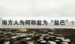 南方人为何称盐为盐巴