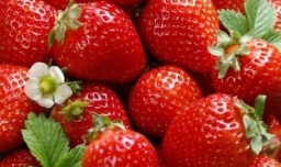 整容后吃什么水果好