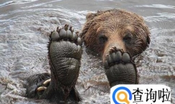 夏天动物避暑的方法