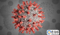 covid病毒症状有哪些