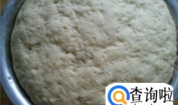 教大家怎么发面