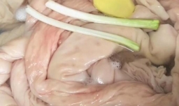 九转大肠的正宗做法