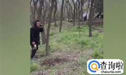 网传上百人进山挖黄金？挖的是昆虫吗？