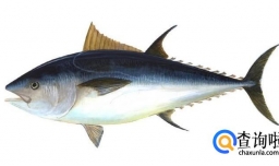 细数含DHA的食物