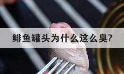 鲱鱼罐头为什么这么臭