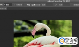 怎么快速修改图片的像素，尺寸和图片格式？