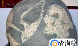 泰山石在客厅如何摆放