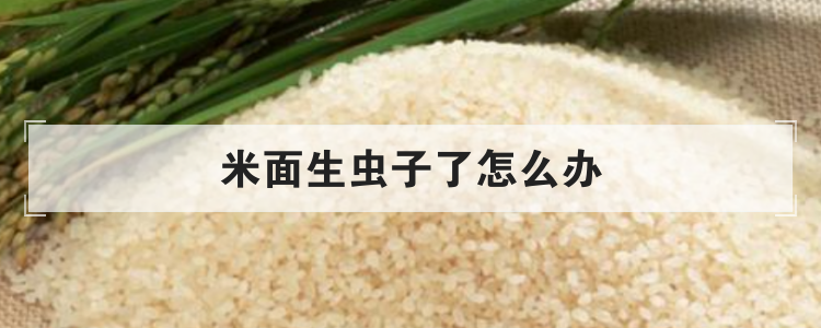 米面生虫子了怎么办