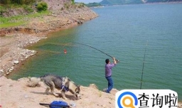 夏季野钓钓位选择技巧