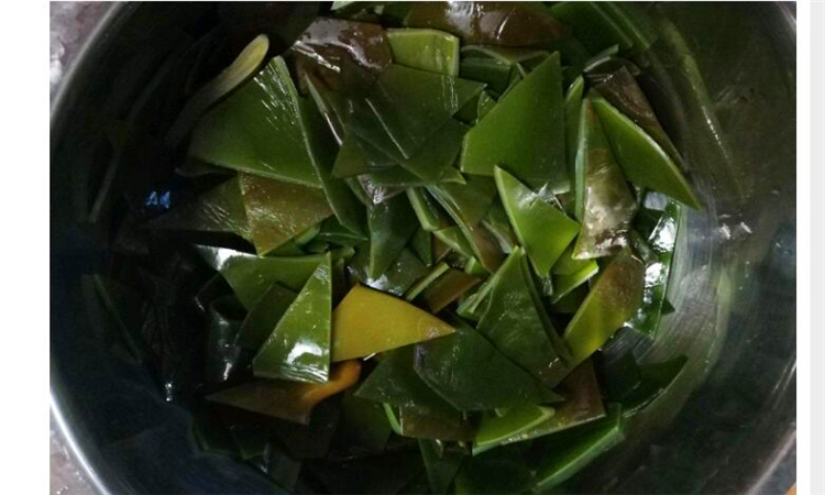 海带丝泡水多长时间好