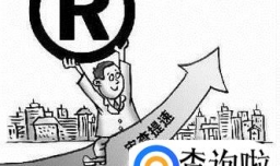 浙江商标注册需要哪些条件？权利和义务是什么？