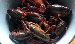 在家里如何做出好吃的麻辣小龙虾？