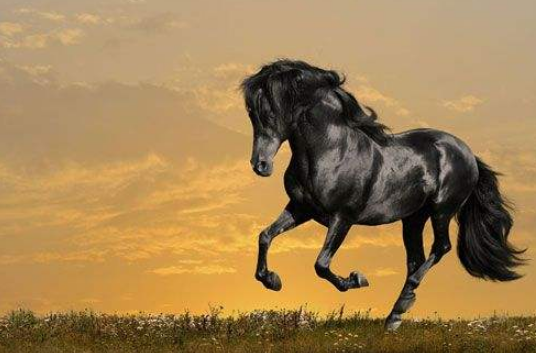 擅长画马的画家有哪些