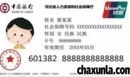 社保如何查开户行支行名称